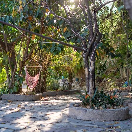 Готель Casa Ikal Гуанахуато Екстер'єр фото